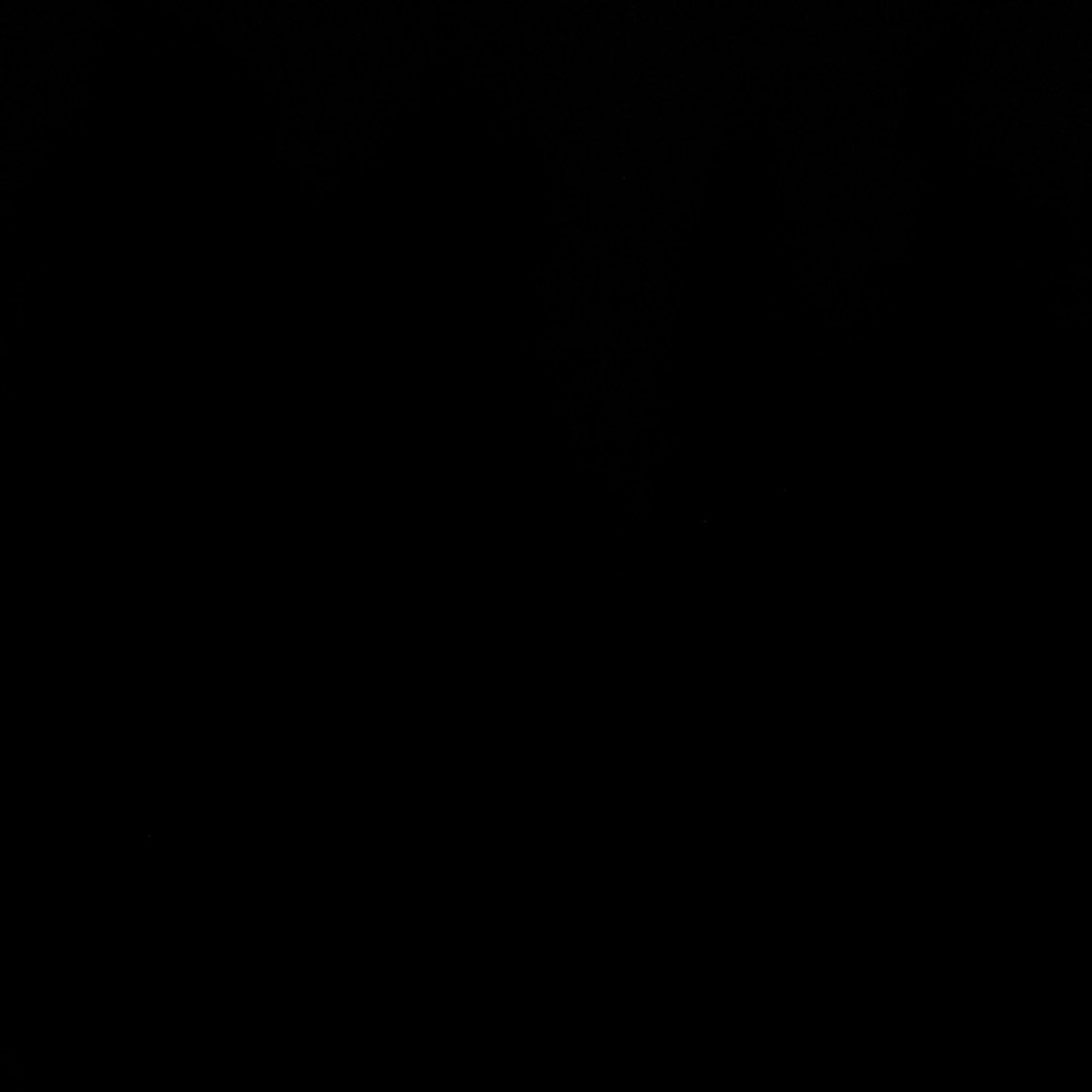 Meet your Posher, Callie